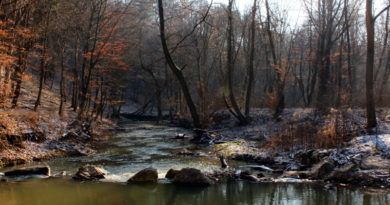 Kincsesbánya